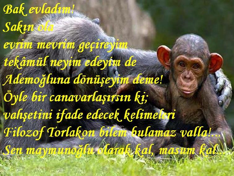 Baz uluslarn cibilliyetleri